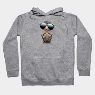 Cool Baby Turtle Wearing Sunglasses Hoodie